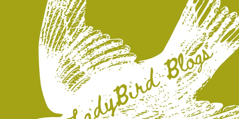 Modern Social Media & The Monstrosity of A.I. 
A Blog About The Toxic Parasitic Algorithm & Why You Should Make The Switch.  